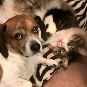 Meet your Posher, Beth